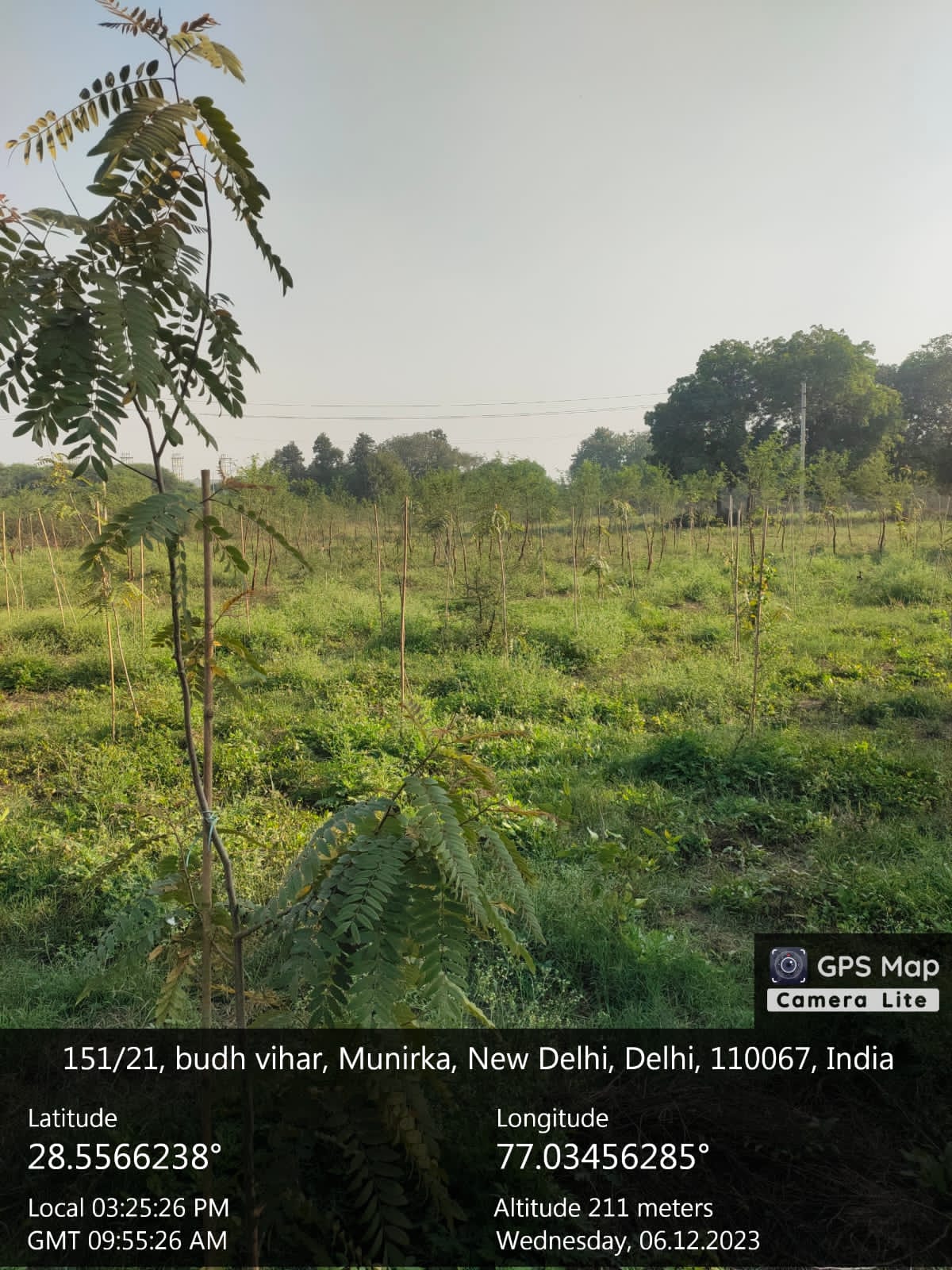 Compensatory Afforestation